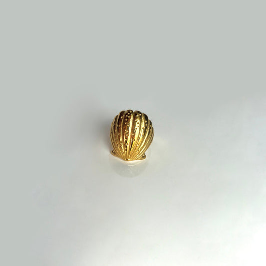 Shell Ring