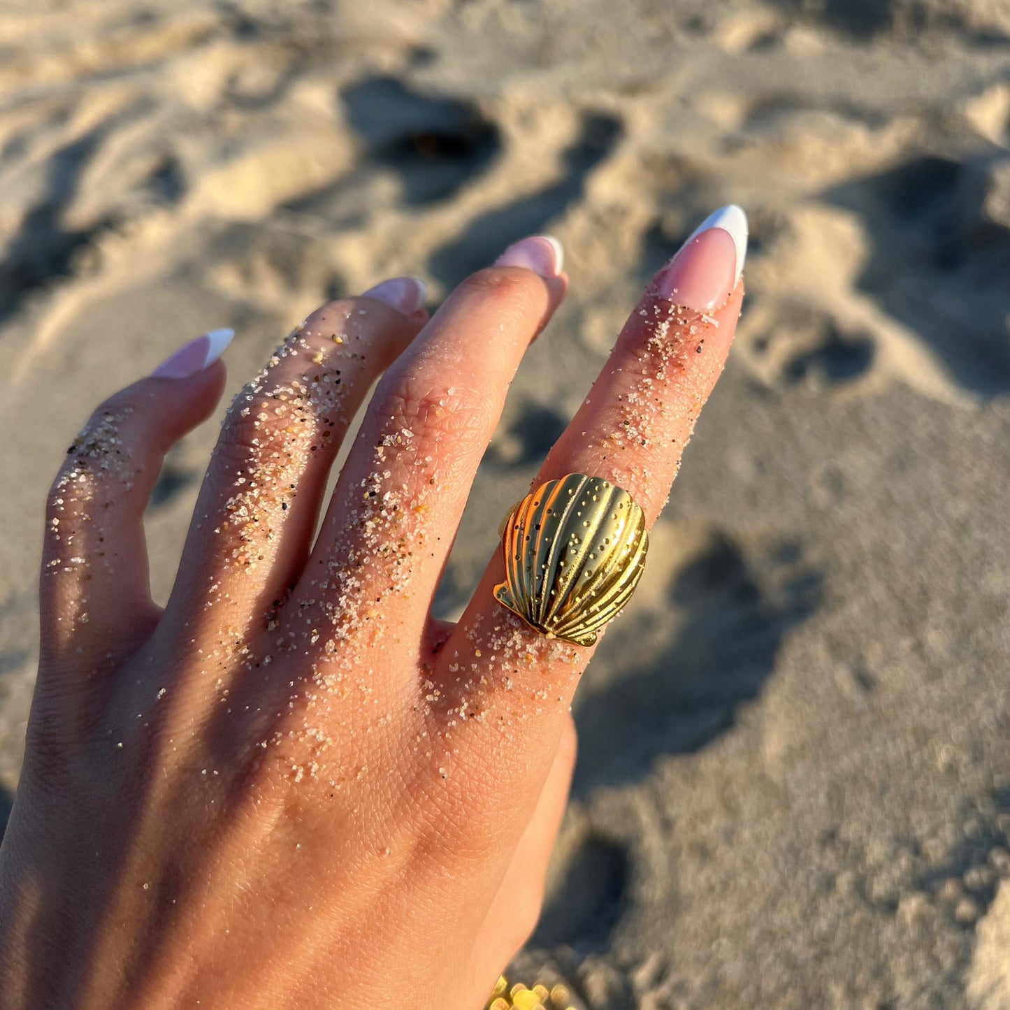 Shell Ring